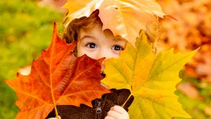 Things to do for families with children during the autumn holidays